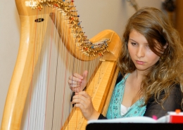 Harp lessons