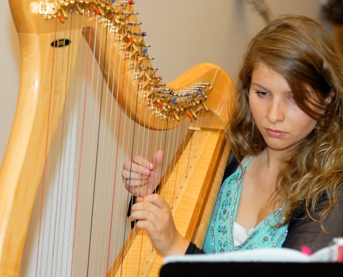 Harp lessons